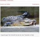 Spiegel Detailansicht der Hand im Maul des Krokodils